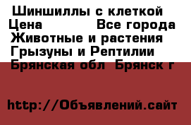 Шиншиллы с клеткой › Цена ­ 8 000 - Все города Животные и растения » Грызуны и Рептилии   . Брянская обл.,Брянск г.